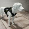 Dog Harness No-Pull Pet Harness Adjustable Outdoor Pet Vest 3M Reflective Oxford Material Vest for Dogs Easy Control for Small Medium Large Dogs (Medium, Camouflage Green)