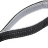 81FelV4SQL._SL1500_.jpg Amazon Basics Double Handle Light Reflecting Dog Leash | 6 Feet/ 182 cm | Black | Strong Hook for Training and Walking Dogs | 2 Padded Handles