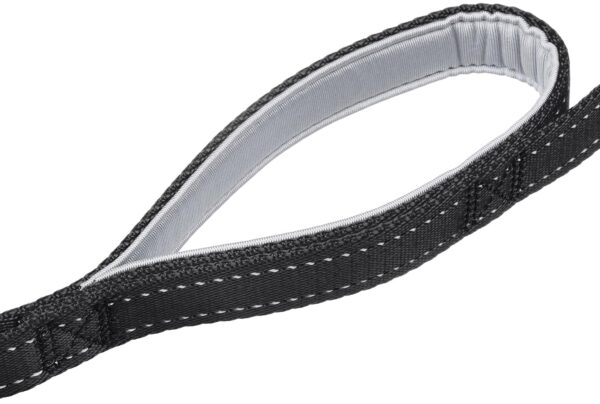 81FelV4SQL._SL1500_.jpg Amazon Basics Double Handle Light Reflecting Dog Leash | 6 Feet/ 182 cm | Black | Strong Hook for Training and Walking Dogs | 2 Padded Handles