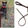 Hachiko:-Heavy Duty Double Leather Dog Leads Pet Leash for 2 Dogs(Brown)