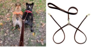 Hachiko:-Heavy Duty Double Leather Dog Leads Pet Leash for 2 Hachiko:-Heavy Duty Double Leather Dog Leads Pet Leash for 2 Dogs(Brown)