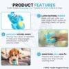 Foodie Puppies Natural Latex Rubber Squeaky (Blue Doggy) Dog Toy | Small to Medium Dogs & Puppy | Durable, Animal Design, Fetch & Chew Safe Play Toy | Reduce Separation Anxiety