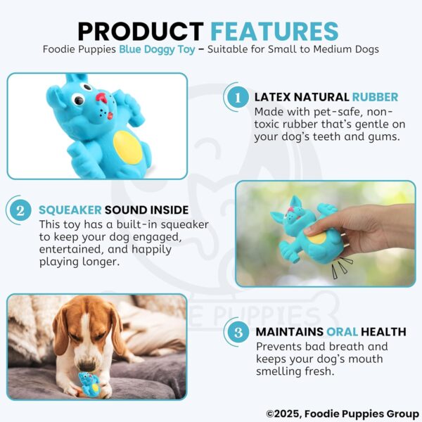 Foodie Puppies Natural Latex Rubber Squeaky (Blue Doggy) Dog Toy | Small to Medium Dogs & Puppy | Durable, Animal Design, Fetch & Chew Safe Play Toy | Reduce Separation Anxiety
