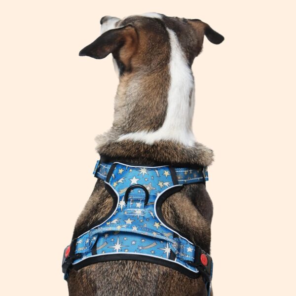 Nebula Nights Reflective No-Pull Dog Vest Harness for Large Dogs (21-30 kg) | Secure Lock-Unlock, Adjustable Strap, Dual Leash Hook, Soft & Padded Harness for All Dogs| Chest: 23–30"