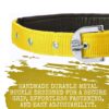 Munchos High Soft Quality Padded Everyday Dog Collar (Colour May Vary) (1 Inchi (Medium))