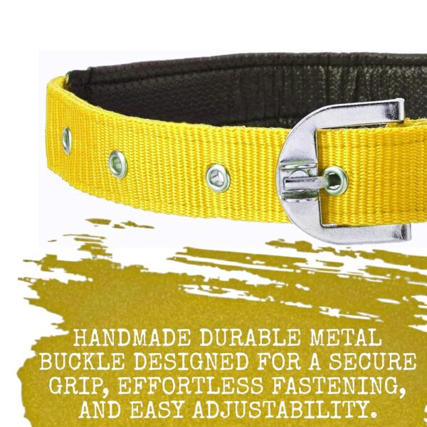 Munchos High Soft Quality Padded Everyday Dog Collar (Colour May Vary) (1 Inchi (Medium))