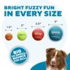 Outward Hound Squeaker Ballz 2-Pack – Large Durable Dog Toy, High-Bounce Tennis Balls with Squeaker, Interactive Fetch & Chew Toy for Active Dogs