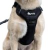 Comfort Adjustable Dog Harness with Free Carry Bag, Padded Leash Comfort Adjustable Dog Harness with Free Carry Bag, Padded Leash & Poop Bag Holder, Size L, Classic Black, Soft Padded Chest & Back, No-Pull Design, Safety Buckles, Reflective Trim