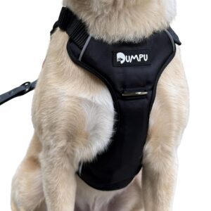 Comfort Adjustable Dog Harness with Free Carry Bag, Padded Leash Comfort Adjustable Dog Harness with Free Carry Bag, Padded Leash & Poop Bag Holder, Size L, Classic Black, Soft Padded Chest & Back, No-Pull Design, Safety Buckles, Reflective Trim