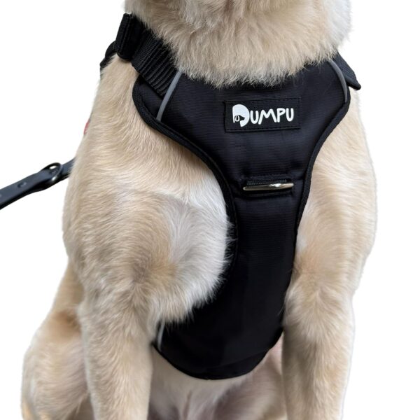 Comfort Adjustable Dog Harness with Free Carry Bag, Padded Leash Comfort Adjustable Dog Harness with Free Carry Bag, Padded Leash & Poop Bag Holder, Size L, Classic Black, Soft Padded Chest & Back, No-Pull Design, Safety Buckles, Reflective Trim
