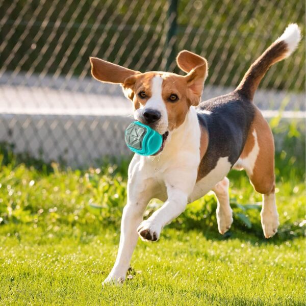 810uZbgIqnL._SL1500_.jpg PremiumAV Squeaky Rugby Dog Toy – Durable Bounce & Fetch Ball for Medium & Large Dogs, Interactive Chew Toy for Aggressive Chewers, Outdoor Play & Training