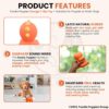 811ISodNmmL._SL1500_.jpg Foodie Puppies Dog Squeaky Chew Latex Rubber Toy - (Orange T-Rex) for Small Dogs & Puppies | Durable, Soft, Animal Design, Fetch & Chew Safe Play Toy | Reduce Separation Anxiety