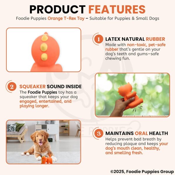 811ISodNmmL._SL1500_.jpg Foodie Puppies Dog Squeaky Chew Latex Rubber Toy - (Orange T-Rex) for Small Dogs & Puppies | Durable, Soft, Animal Design, Fetch & Chew Safe Play Toy | Reduce Separation Anxiety