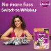 811IZb9ejAL._SL1500_.jpg Whiskas Junior Kitten (2-12 Months) Wet Cat Food, Chicken with Salmon in Jelly, 80 g x 28, Hydrating Food Made with Real Fish, 100% Complete & Balanced Nutrition for Kittens