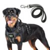 Buraq Military Tactical Dog Harness, No-Pull Adjustable Training Vest with Buraq Military Tactical Dog Harness, No-Pull Adjustable Training Vest with Handle Easy Control, Tactical Vest Harness for Walking Training Hiking (Grey, L)