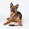 HUFT Rope Leash for Dogs - Orange - 4 ft