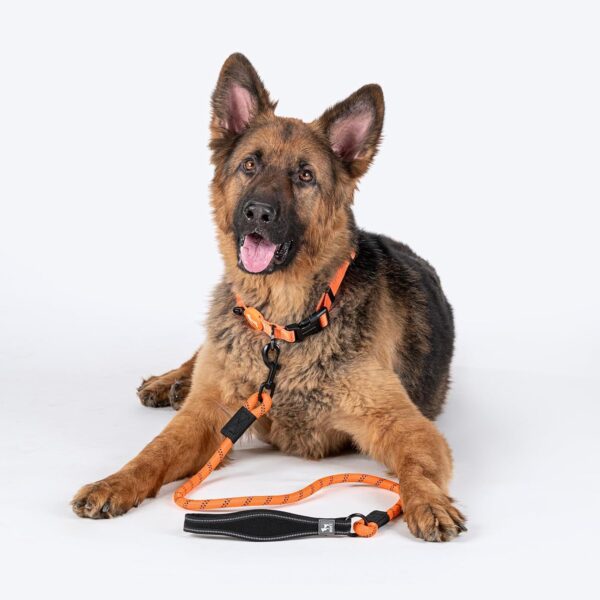 HUFT Rope Leash for Dogs - Orange - 4 ft