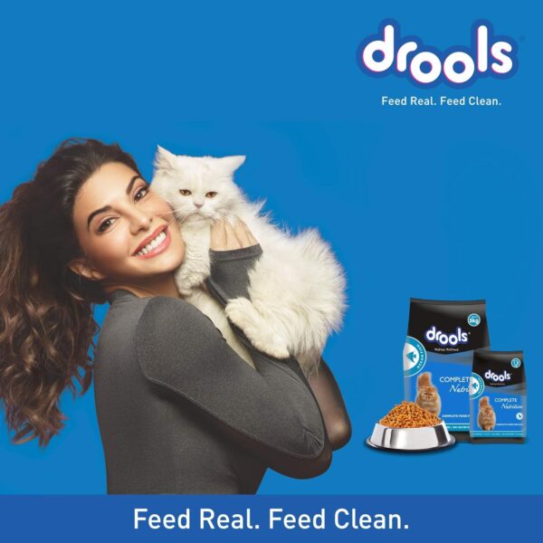 811wIUX1CnL._SL1500_.jpg Drools Adult(+1 Year) Dry Cat Food, Ocean Fish, 3 kg + 1.2 kg Free & Kitten(1-12 Months) Dry Cat Food, Ocean Fish, 1.2kg with Free Container