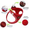 CATCHY Dog Harness for Puppy, Small and Medium Dog Breeds, CATCHY Dog Harness for Puppy, Small and Medium Dog Breeds, Choke Free Puppy Harness, Reflective No Pull Dog Harness, Small and Medium Dog Vest Harness (Red, XS)
