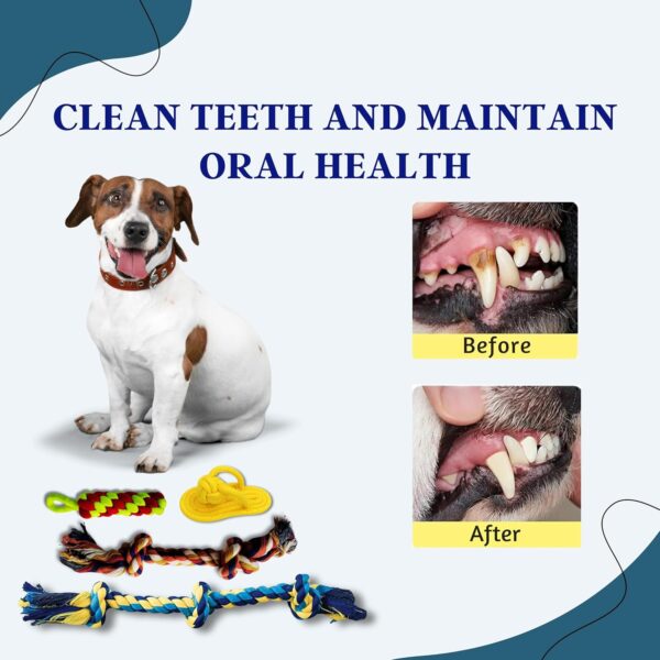 Foodie Puppies 6 in 1 Squeaky and Chew Rope Dog Toy Combo - (2Knot Rope + 3Knot Rope + Slipper + Corn Stick + Claw Ball + Blue Doggy) | Chewing, Playing, & Teething for Small Dogs and Puppies
