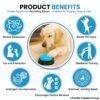 Foodie Puppies Interactive Dog Toys, Pet Voice Recording Button Training Talking Button/Buzzer Toy for Communication - (Blue) Easy to Use Talking, 30Sec Record & Playback, [Without Battery]