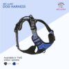 813lIp6dJCL._SL1500_.jpg Dog Harness, No Pull & No Choke Harness for Dogs, Oxford Breathable & Reflective Fabric Vest, Soft Inner Sponge Padding, Adjustable Body Belts, Thicker Handle (Medium, Black)