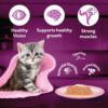 813mfxOVbHL._SL1500_.jpg Whiskas Junior Kitten (2-12 Months) Wet Cat Food, Chicken with Salmon in Jelly, 80 g x 28, Hydrating Food Made with Real Fish, 100% Complete & Balanced Nutrition for Kittens