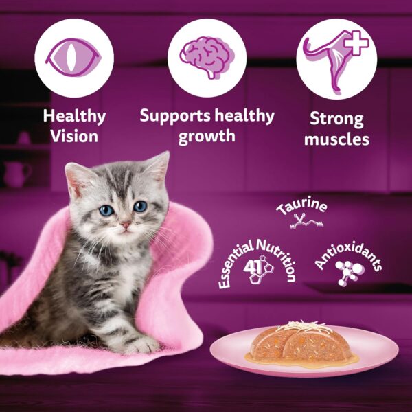 813mfxOVbHL._SL1500_.jpg Whiskas Junior Kitten (2-12 Months) Wet Cat Food, Chicken with Salmon in Jelly, 80 g x 28, Hydrating Food Made with Real Fish, 100% Complete & Balanced Nutrition for Kittens