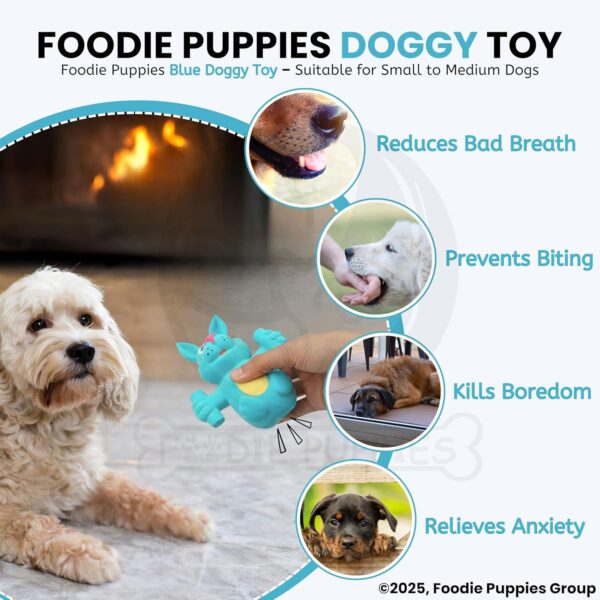 Foodie Puppies Natural Latex Rubber Squeaky (Blue Doggy) Dog Toy | Small to Medium Dogs & Puppy | Durable, Animal Design, Fetch & Chew Safe Play Toy | Reduce Separation Anxiety