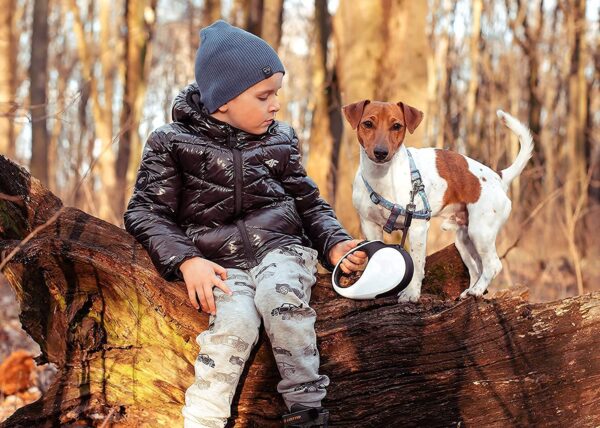 Pets Empire 360° Tangle-Free Retractable Dog Leash | Heavy Duty 16 ft Training Leash for Pets with Anti-Slip Handle | Strong Nylon Tape & One-Handed Brake Pause Lock for Large Dogs - Multicolor