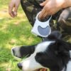 814NGaoDiuL._SL1500_.jpg Heavy Duty Retractable Dog Leash with Torch β 5M Durable Pet Walking Leash Green (PPL-137)