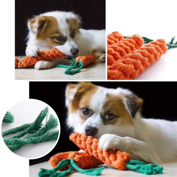 Dog Trust Durable Orange Carrot Knotted Cotton Rope Toys for Teeth Cleaning and Chewing, Small & Medium Dog/Cat/Puppy (Multicolour).