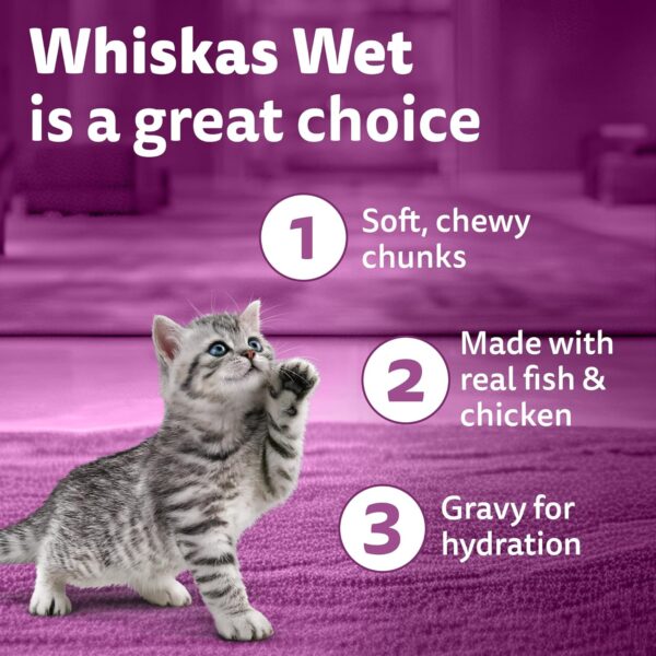 815QMBM6PML._SL1500_.jpg Whiskas Junior Kitten (2-12 Months) Wet Cat Food, Chicken with Salmon in Jelly, 80 g x 28, Hydrating Food Made with Real Fish, 100% Complete & Balanced Nutrition for Kittens