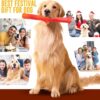 PremiumAV Indestructible Dog Chew Toys for Aggressive Chewers – Tough Durable Rubber Bone Toy for Small & Medium Dogs, Perfect for Training, Teeth Cleaning & Fitness