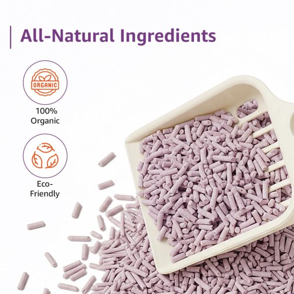 Amazon Basics Premium Tofu Cat Litter | 5 Kg (2.5 Kg x 2 Packs) | Organic | Biodegradable | Flushable | Dust-Free | Instant Clumping | Mild Lavender Fragrance