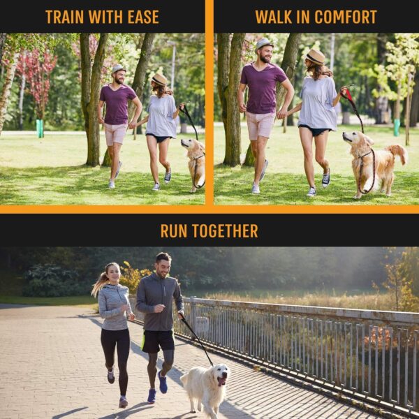 Active Pets Heavy Duty Nylon Dog Leash | 3M Highly Reflective Dog Rope Leash | Soft Padded Handly Dog Belt for Medium Large Dogs Walking Running Leash (Black)