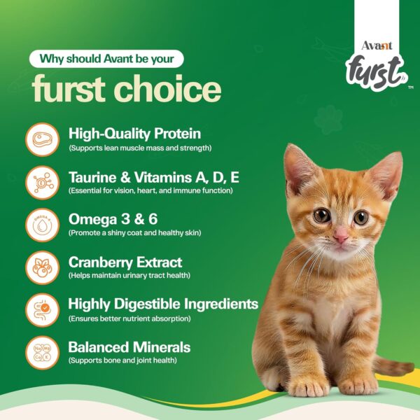 816oRqNJHNL._SL1500_.jpg Kitten Dry Cat Food – Tuna Fish Flavor | 1kg