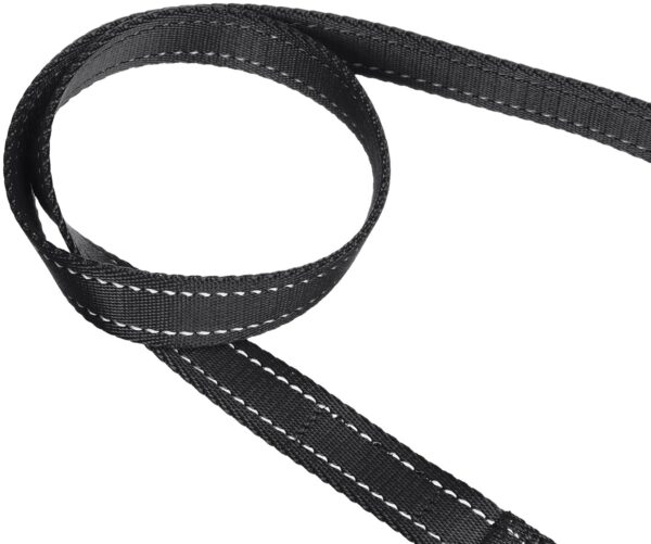 817jH6TS6IL._SL1500_.jpg Amazon Basics Double Handle Light Reflecting Dog Leash | 6 Feet/ 182 cm | Black | Strong Hook for Training and Walking Dogs | 2 Padded Handles