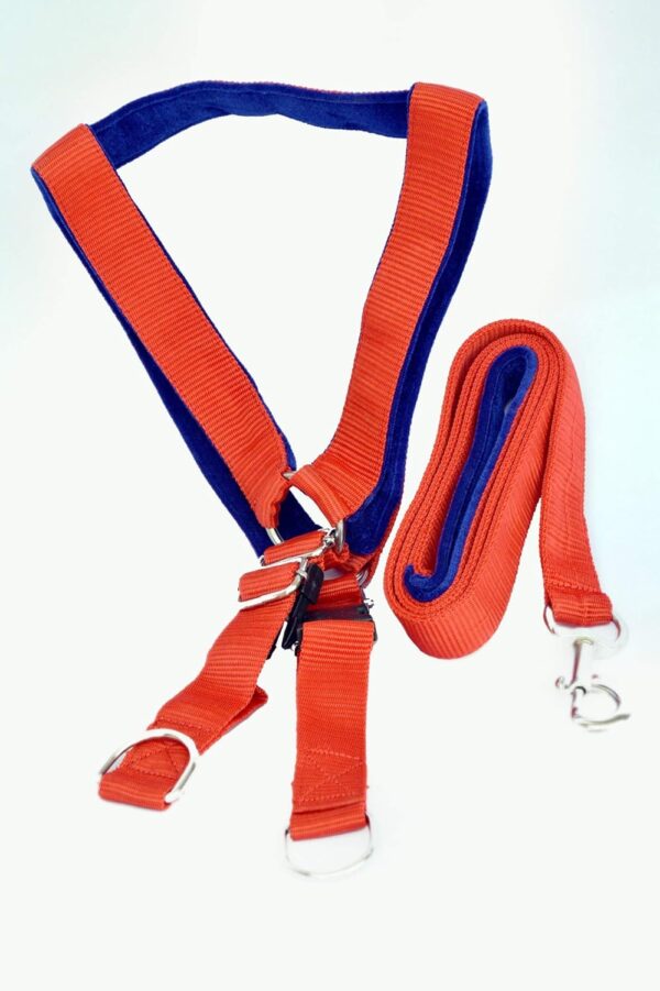 817sHypdCvL._SL1500_.jpg DOGISTA PET Products Dog MUKHMAL Leash Harness Set 1.50, Extra Large