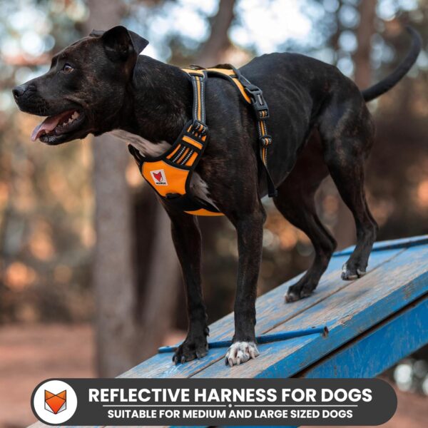 818T-IUWkCL._SL1500_.jpg Wooflix Heavy Duty Reflective Dog Harness for Large Sized Breed Dogs – No Pull, No Choke Harness for Dog with Adjustable Chest Belt with Soft Padded Handle | Orange – Size: Large (22kg to 32kg Dog)