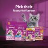 Whiskas Junior Mother Cat & Kitten (2-12 Months) Dry Cat Food, Mackerel Fish Flavour, 1.1 kg, Contains 41 Essential Nutrients, Complete & Balanced Nutrition for Mother Cats & Kittens