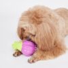 BarkButler x FOFOS Giggling Squeaker Dog Toy - Onion, Durable Chew Toys, Ideal Teething Toys for Puppy & Adult Dogs (5-30kgs), Interactive Dog Toys for Dogs of All Breeds