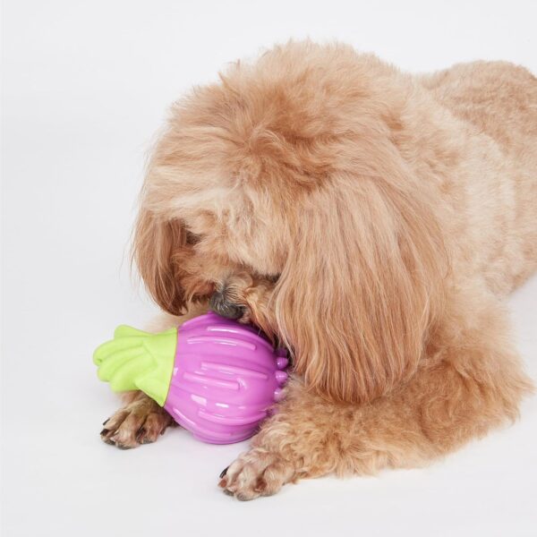 BarkButler x FOFOS Giggling Squeaker Dog Toy - Onion, Durable Chew Toys, Ideal Teething Toys for Puppy & Adult Dogs (5-30kgs), Interactive Dog Toys for Dogs of All Breeds