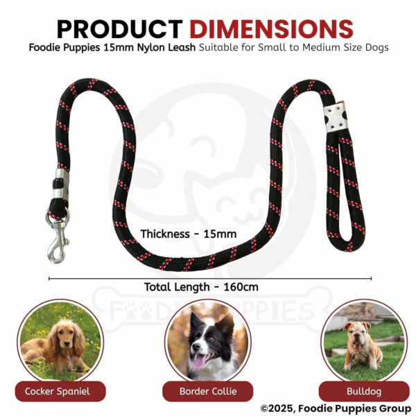 Foodie Puppies Dog Training Walking Rope - Nylon Leash (15mm) for Small to Medium Sized Dogs With Strong Hook - Color May Vary