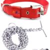 RvPaws Dog Belt Combo of 1 Inch Nylon Collar with Heavy Dog Chain 63 Inch Lengthy Dog Collar Chain (Red)