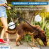 HANK Dog Leash | 3M Reflective Dog Rope | Soft Comfortable Handle | Heavy Duty Belt Hook | (Suitable Up to 10KG - Small Breed) - 5 Feet Long (S - Black)