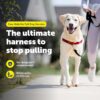 PetSafe Easy Walk Dog Harness, Red/Black, Large, EWH-HC-L-RED