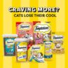Whiskas Temptations Treats for Cats Mega Bag Tantalizing Turkey Flavor, 6.3 Ounce (Pack of 10)