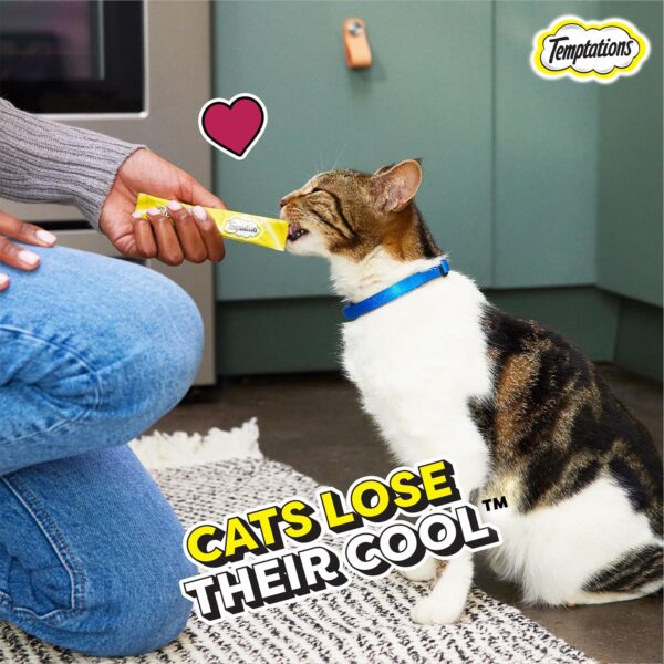 Temptations Creamy Purrrrr-ée Lickable Cat Treats, Salmon & Cheese Flavour, 48 G, Made with Real Fish, Goodness of Protein, Vitamins & Minerals,All Life Stages