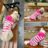 Lulala Dog Hoodie Fuzzy Sweater with Leash Hole - Small Dog & Cat Clothes Warm Soft Cozy Hooded Sweatshirt for Winter.(Pink-12Inch)